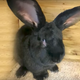 Image via Inside Edition on YouTube
